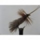 goddard caddis sedge