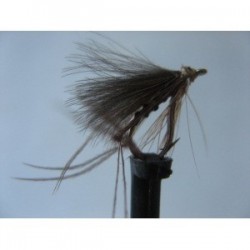 yellow owl cdc hopper