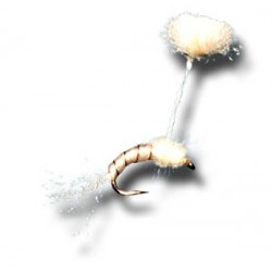 Parasol Midge Emerger White