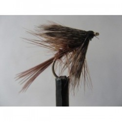 brown dabbler