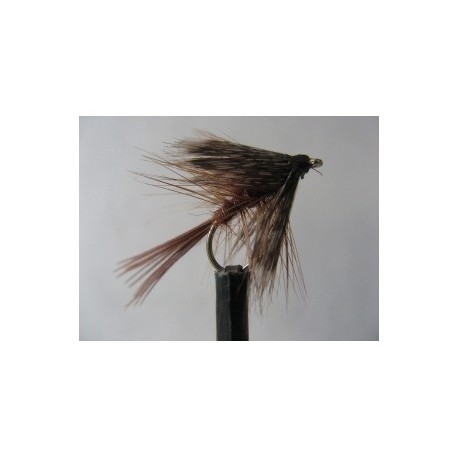 brown dabbler
