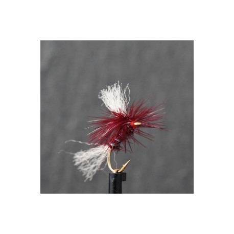 claret shipmans para dry