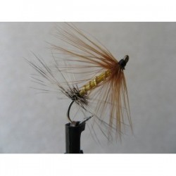 fore aft mayfly