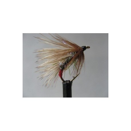 green peter sedgehog