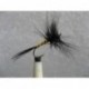 black spent mayfly