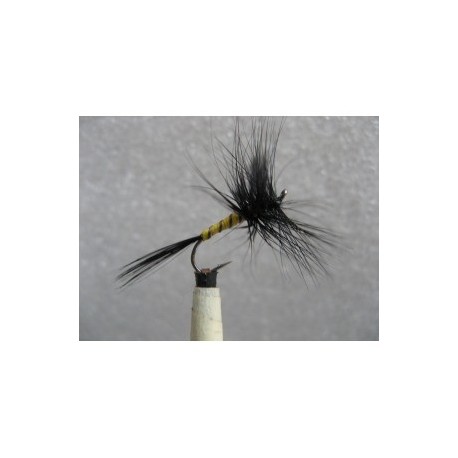 black spent mayfly