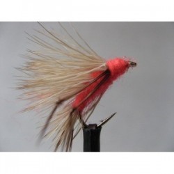 leggy hot orange sedgehog