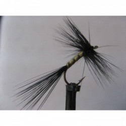 black hackled mayfly