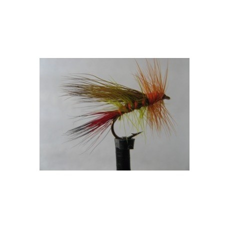 stimulator sunburst sedge
