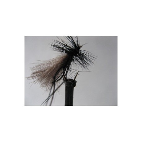 ians cdc hawthorn fly