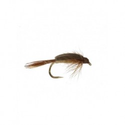 stillborn caddis