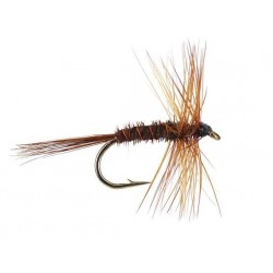 pheasant tail