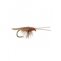 octomber caddis