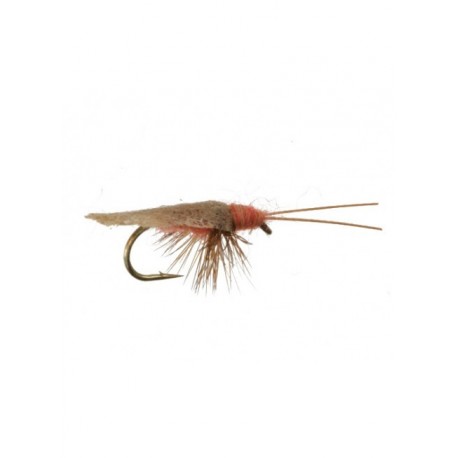 octomber caddis