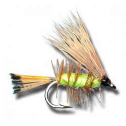 Palmered Caddis Green