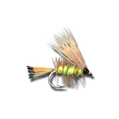 Palmered Caddis Green
