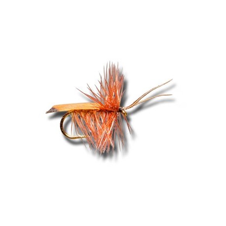 Cinnamon Caddis