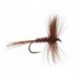 pheasant tail winged