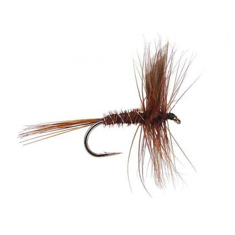 pheasant tail winged