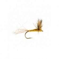 sparkle dun sulphur