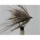 sedgehog mayfly