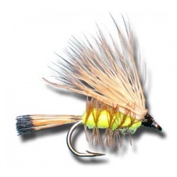 Palmered Caddis Yellow