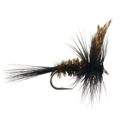 dark peacock dry