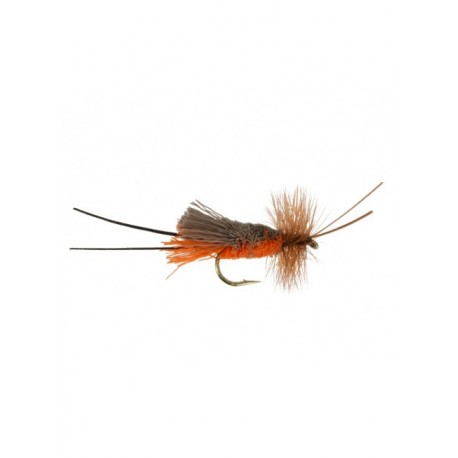 october caddis