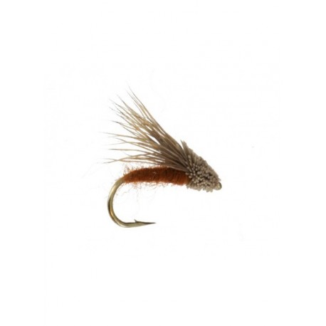 streaking caddis