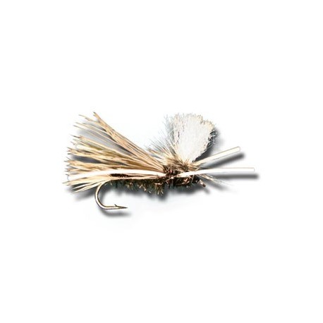 PMX Peacock