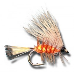 Palmered Caddis Orange