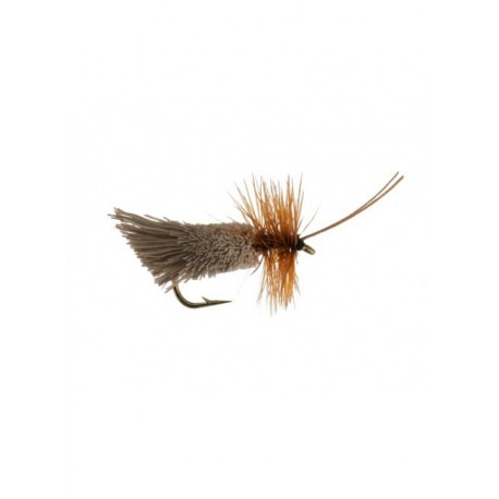 goddard caddis
