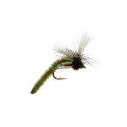 spotlight caddis olive