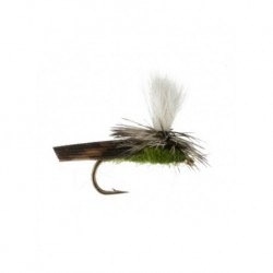 parachute caddis olive