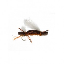 chubby chernobyl golden brown