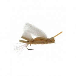 chubby chernobyl tan