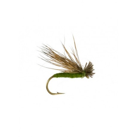 spent caddis olive