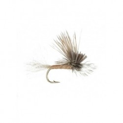 crippled caddis