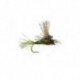ec caddis olive