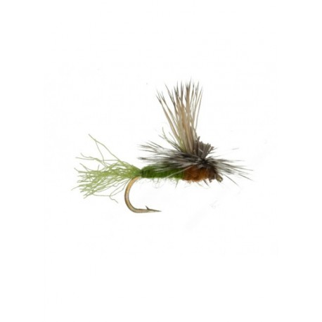 ec caddis olive