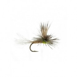 ec caddis tan