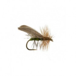 henryville caddis olive