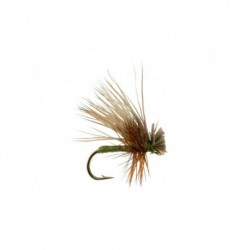foam caddis olive