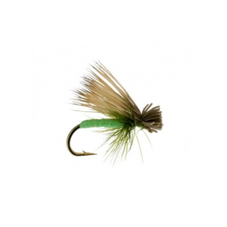 foam caddis bright green