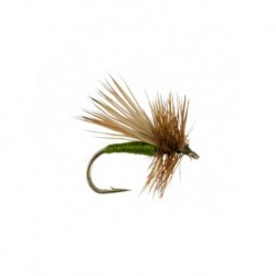tent wing caddis olive