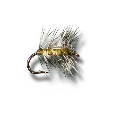 Griffiths Gnat Olive