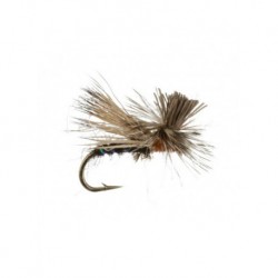 missing link caddis
