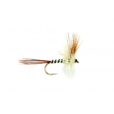 Mayfly Brown