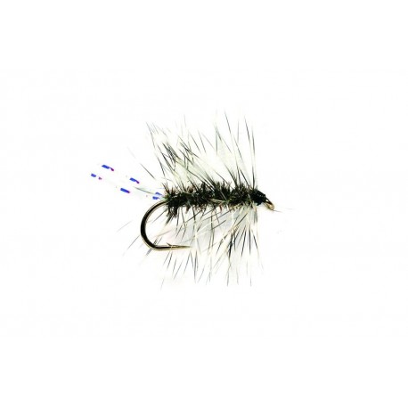 Griffith's Gnat