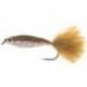 Glass Minnow Rainbow